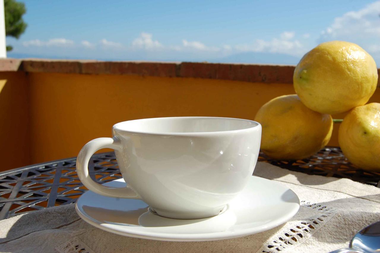 La Terrazza Sul Mare Acomodação com café da manhã Capri Exterior foto